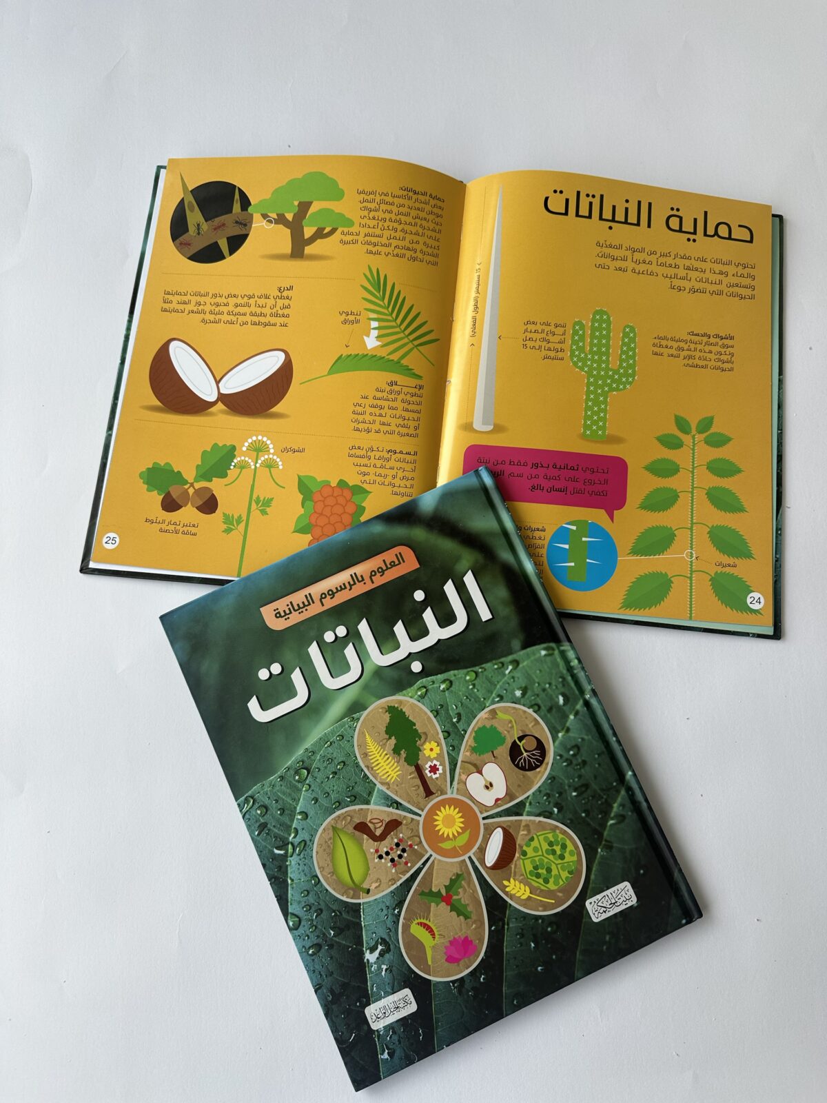 ⁦كتاب النباتات⁩ - الصورة ⁦1⁩